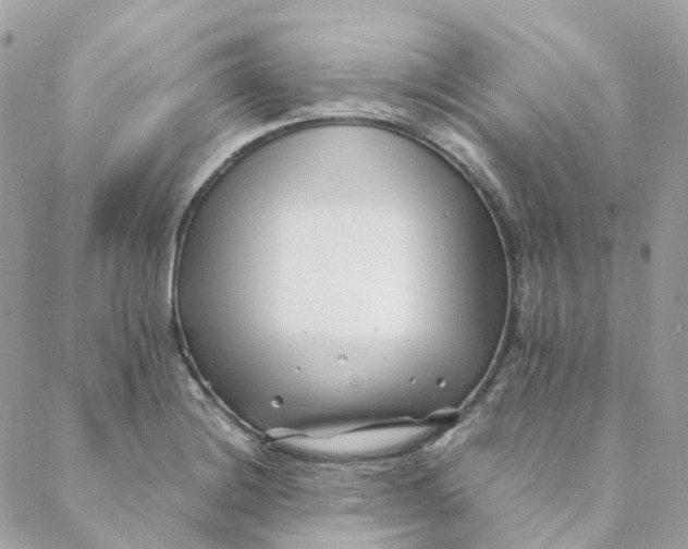 X0000088091228200706011555