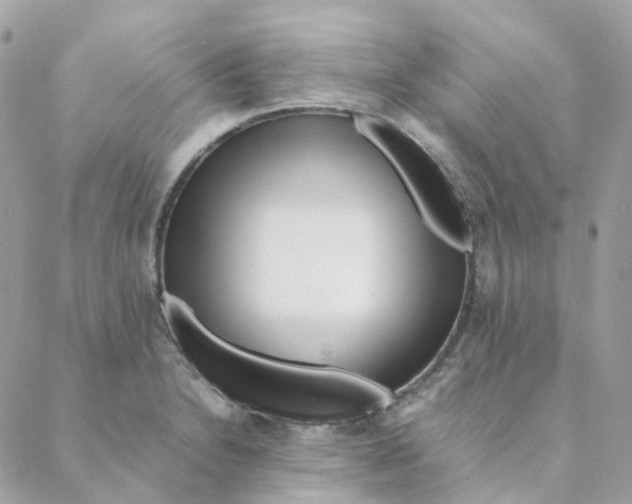 X0000088091230200706011555