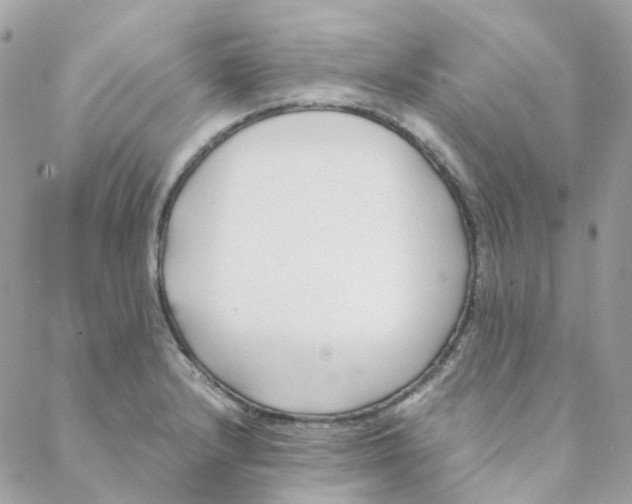 X0000088091232200706011555