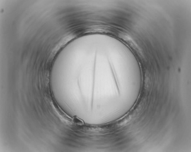 X0000088091233200706011555