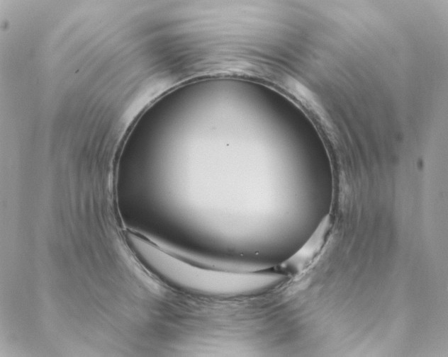 X0000088091234200706011555