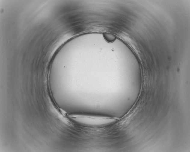 X0000088091235200706011555