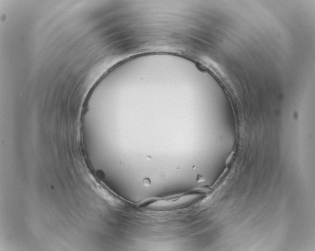 X0000088091236200706011555