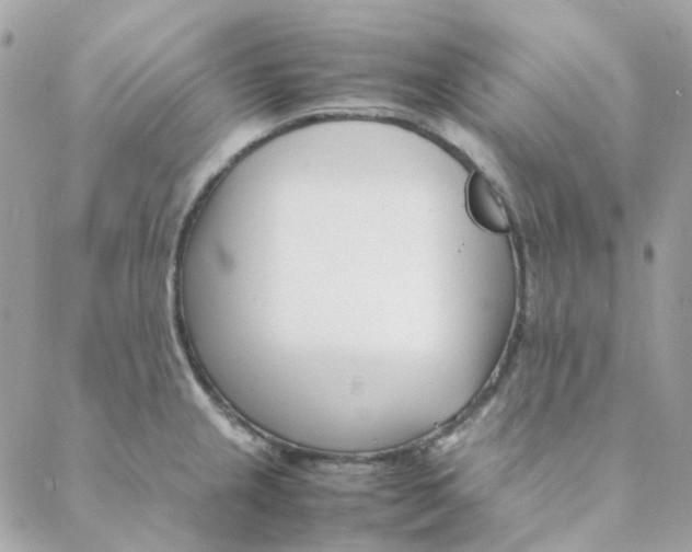 X0000088091237200706011555