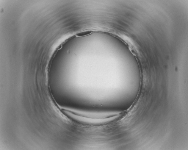 X0000088091238200706011555