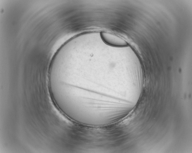 X0000088091239200706011555