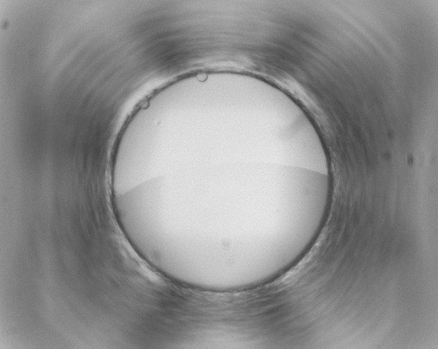 X0000088091240200706011555