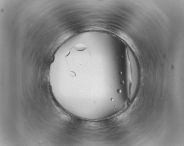 X0000088091241200706011555