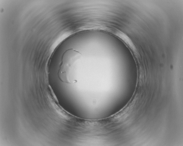 X0000088091242200706011555