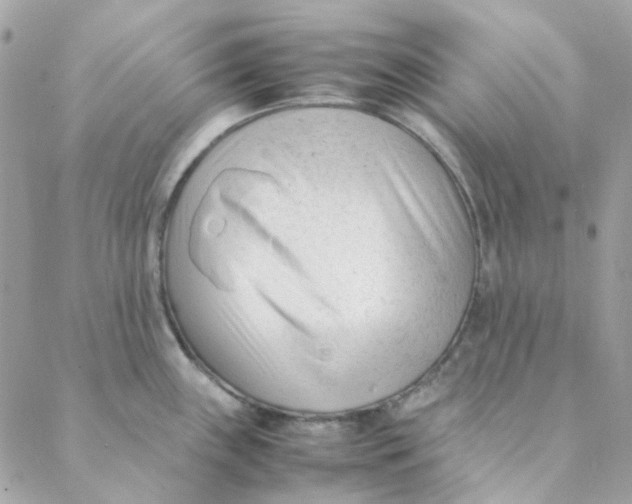 X0000088091243200706011555