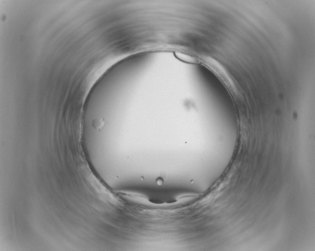 X0000088091244200706011556