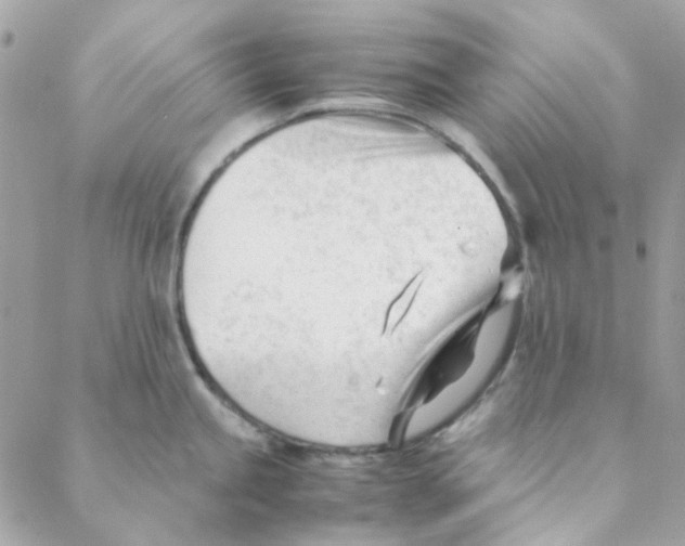 X0000088091245200706011556