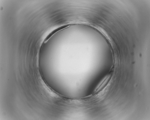 X0000088091246200706011556