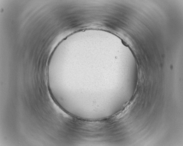 X0000088091247200706011556