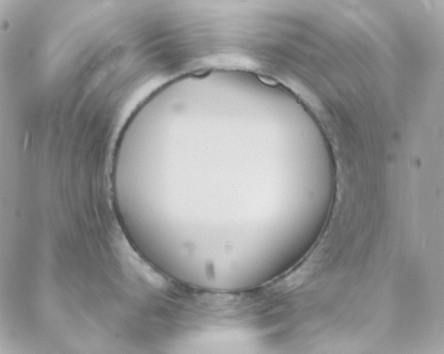 X0000088091248200706011556