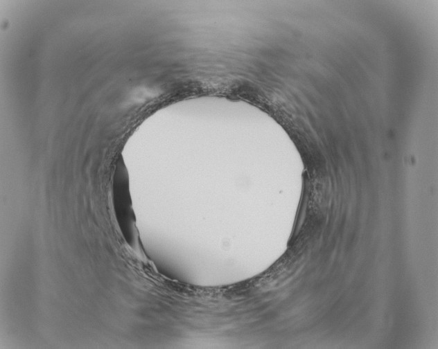 X0000088091249200706011555