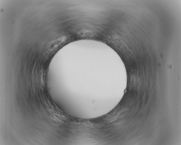 X0000088091250200706011555