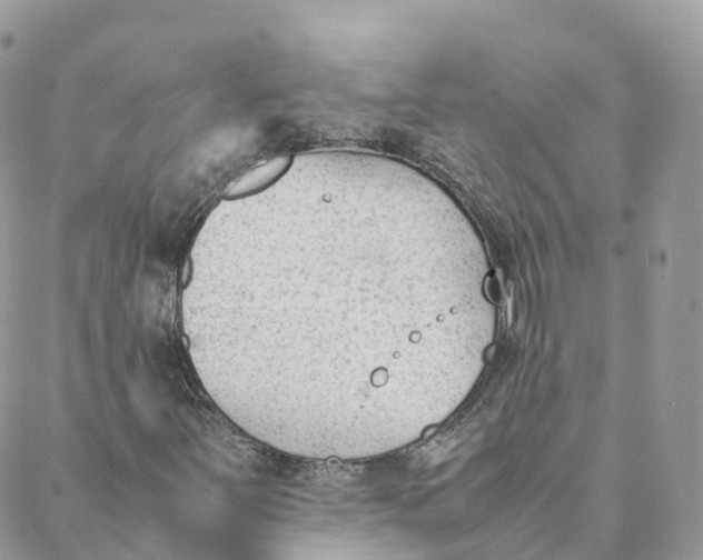 X0000088091251200706011555