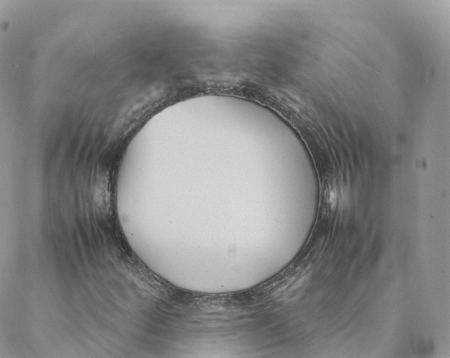 X0000088091252200706011555