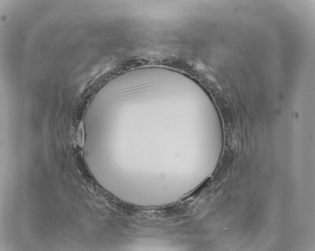 X0000088091253200706011555