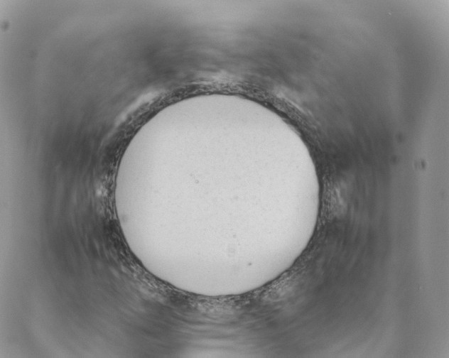 X0000088091254200706011555