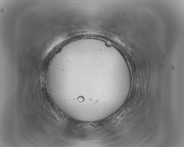 X0000088091255200706011555