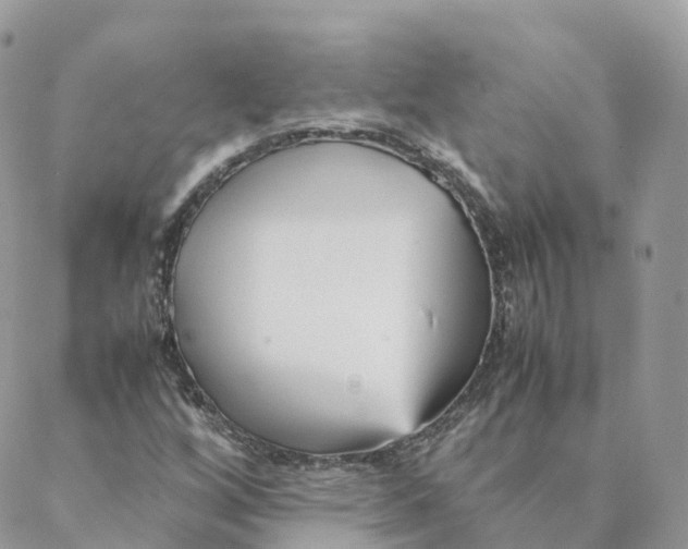 X0000088091256200706011555