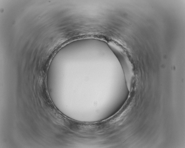 X0000088091257200706011555