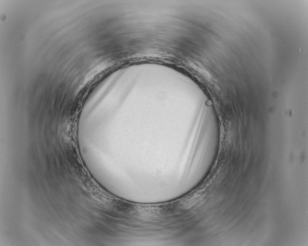 X0000088091258200706011555