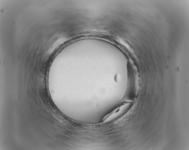 X0000088091259200706011555