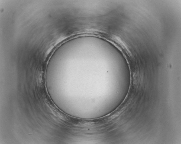 X0000088091260200706011555