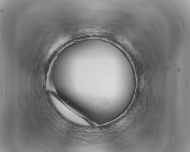 X0000088091261200706011555