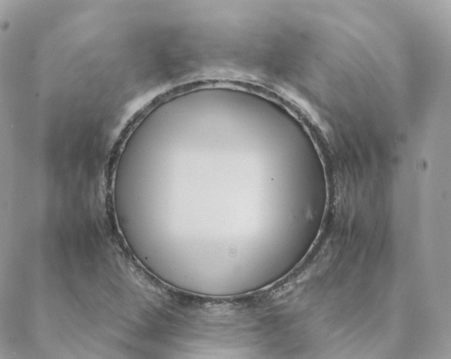 X0000088091264200706011555