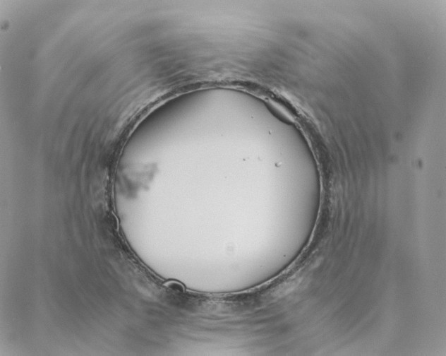 X0000088091265200706011555