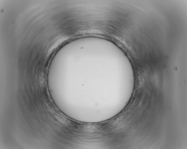 X0000088091266200706011555