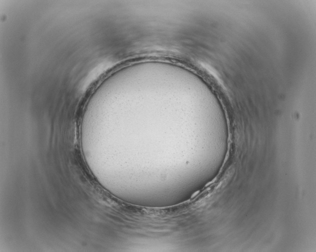 X0000088091267200706011554