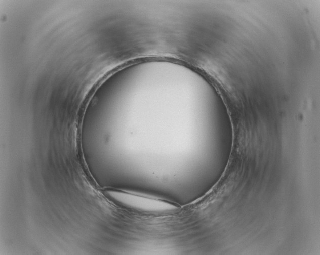 X0000088091268200706011554