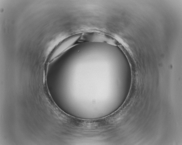 X0000088091269200706011554