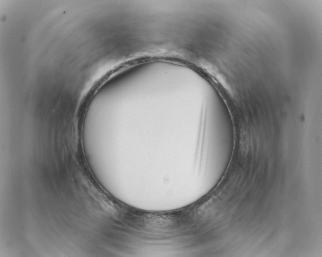 X0000088091270200706011554