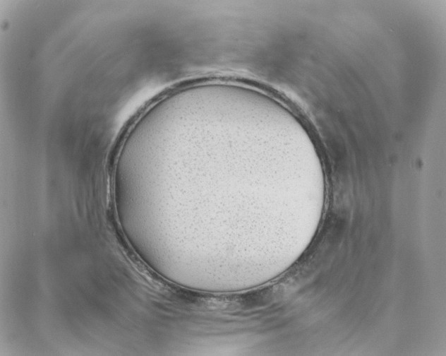 X0000088091271200706011554