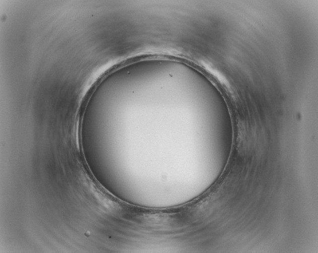 X0000088091272200706011554