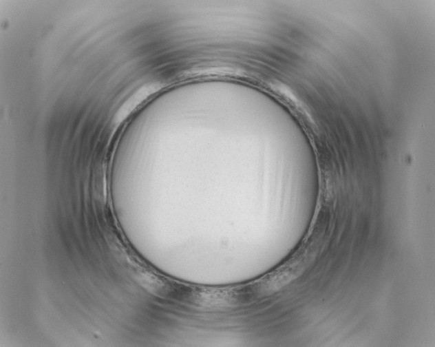 X0000088091274200706011554