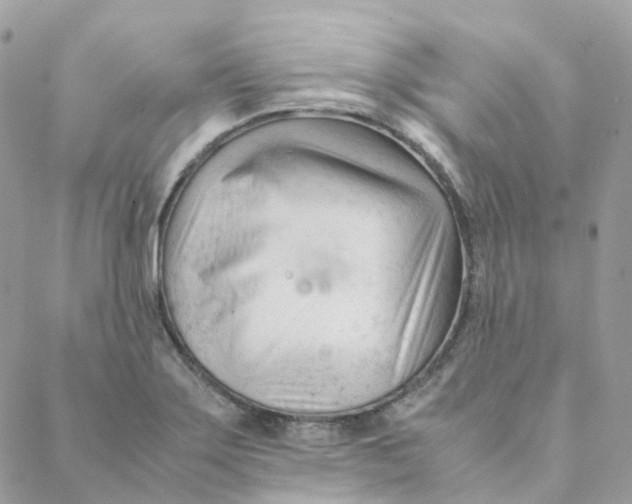 X0000088091275200706011554