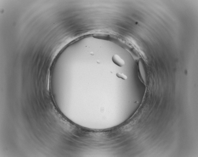 X0000088091276200706011554