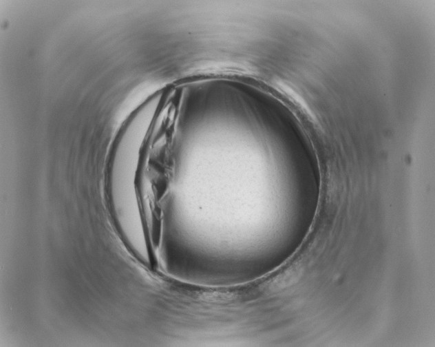 X0000088091277200706011554