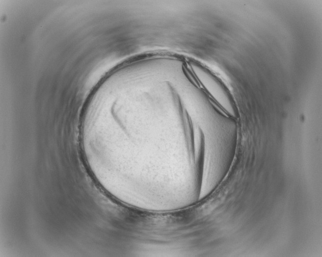 X0000088091279200706011554