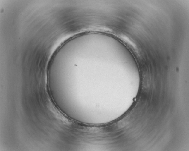 X0000088091280200706011554