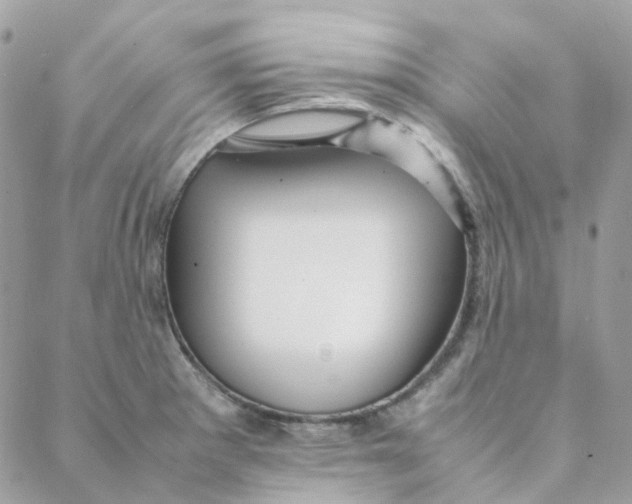 X0000088091281200706011554