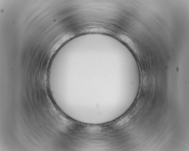 X0000088091282200706011554