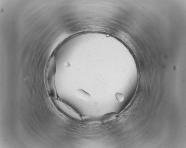 X0000088091283200706011554